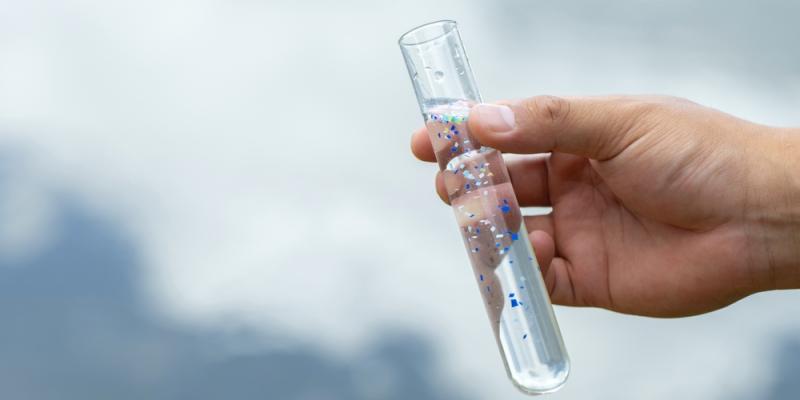 Effects of microplastics on your body